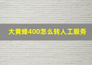 大黄蜂400怎么转人工服务