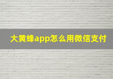 大黄蜂app怎么用微信支付