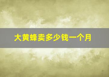 大黄蜂卖多少钱一个月