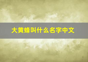 大黄蜂叫什么名字中文