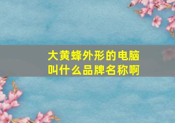 大黄蜂外形的电脑叫什么品牌名称啊