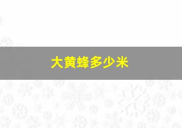 大黄蜂多少米