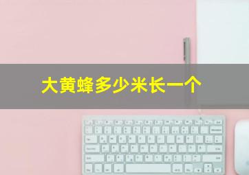 大黄蜂多少米长一个