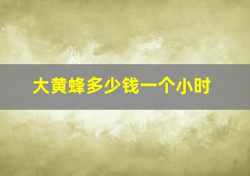 大黄蜂多少钱一个小时