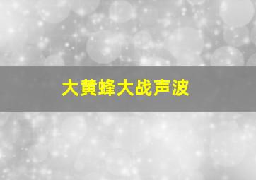 大黄蜂大战声波