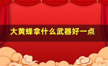 大黄蜂拿什么武器好一点