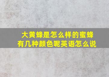 大黄蜂是怎么样的蜜蜂有几种颜色呢英语怎么说