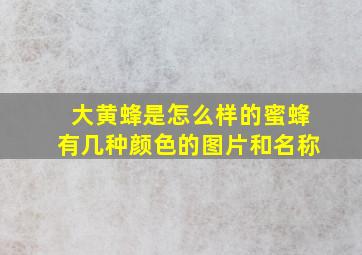 大黄蜂是怎么样的蜜蜂有几种颜色的图片和名称