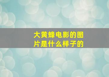 大黄蜂电影的图片是什么样子的