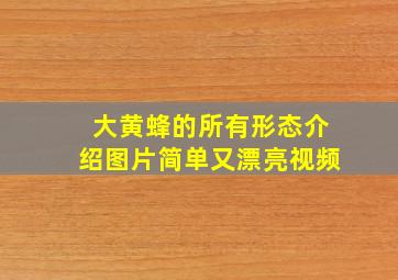 大黄蜂的所有形态介绍图片简单又漂亮视频