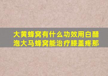 大黄蜂窝有什么功效用白醋泡大马蜂窝能治疗膝盖疼那