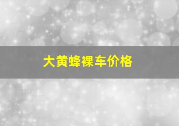 大黄蜂裸车价格