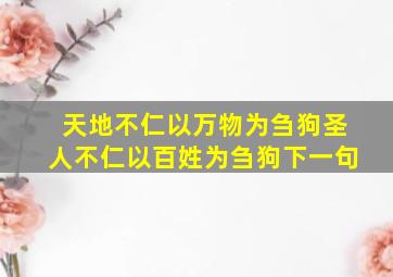 天地不仁以万物为刍狗圣人不仁以百姓为刍狗下一句