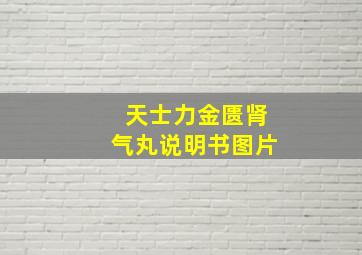 天士力金匮肾气丸说明书图片