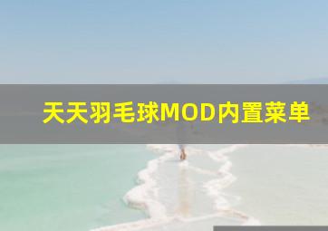 天天羽毛球MOD内置菜单