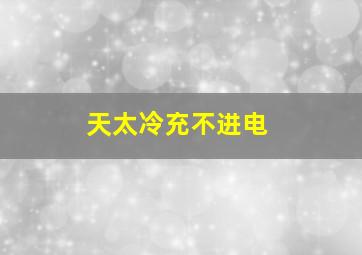 天太冷充不进电