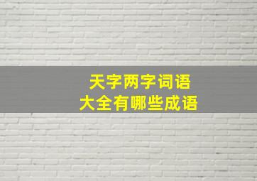 天字两字词语大全有哪些成语