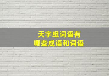 天字组词语有哪些成语和词语