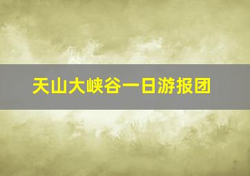 天山大峡谷一日游报团