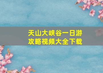 天山大峡谷一日游攻略视频大全下载