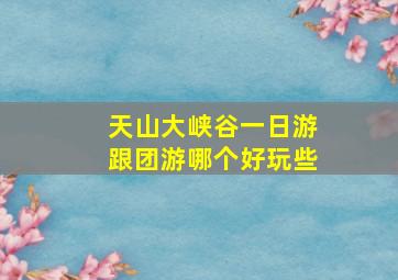 天山大峡谷一日游跟团游哪个好玩些