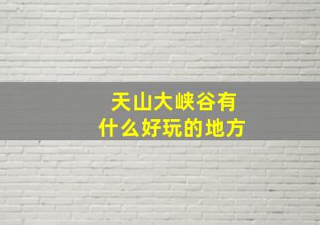 天山大峡谷有什么好玩的地方