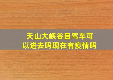 天山大峡谷自驾车可以进去吗现在有疫情吗