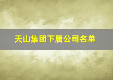 天山集团下属公司名单