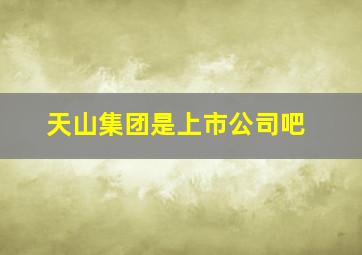 天山集团是上市公司吧