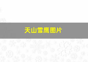 天山雪鹰图片