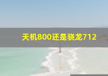 天机800还是骁龙712