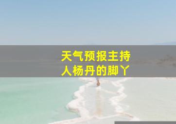 天气预报主持人杨丹的脚丫