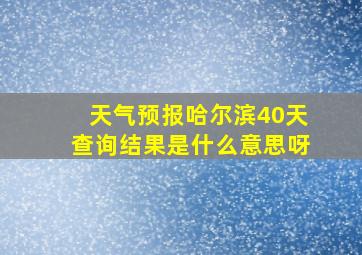 天气预报哈尔滨40天查询结果是什么意思呀