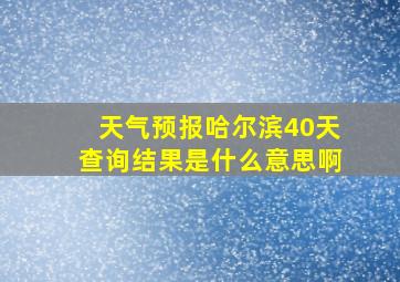 天气预报哈尔滨40天查询结果是什么意思啊