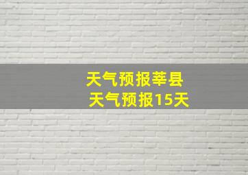 天气预报莘县天气预报15天