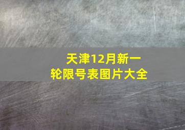 天津12月新一轮限号表图片大全