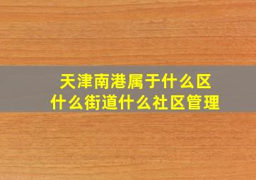 天津南港属于什么区什么街道什么社区管理