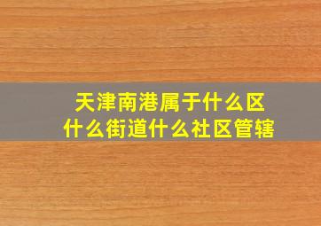 天津南港属于什么区什么街道什么社区管辖