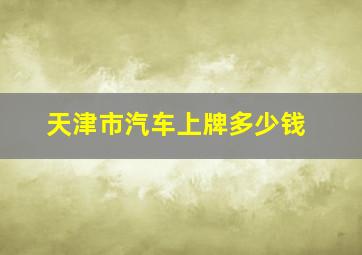 天津市汽车上牌多少钱