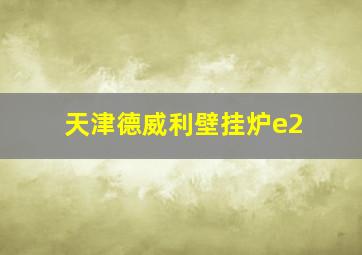 天津德威利壁挂炉e2