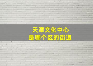 天津文化中心是哪个区的街道