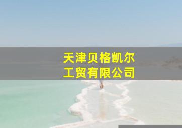 天津贝格凯尔工贸有限公司