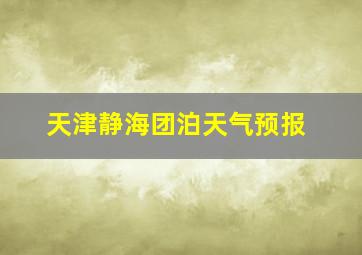 天津静海团泊天气预报