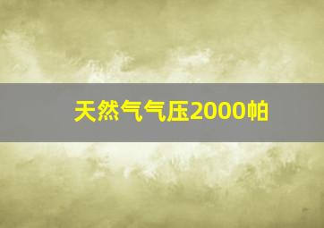 天然气气压2000帕