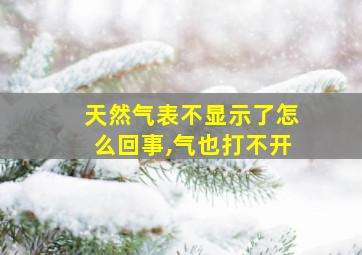 天然气表不显示了怎么回事,气也打不开