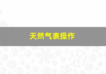 天然气表操作