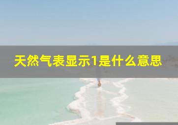 天然气表显示1是什么意思