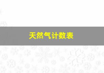 天然气计数表