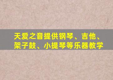 天爱之音提供钢琴、吉他、架子鼓、小提琴等乐器教学