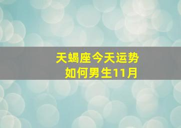 天蝎座今天运势如何男生11月